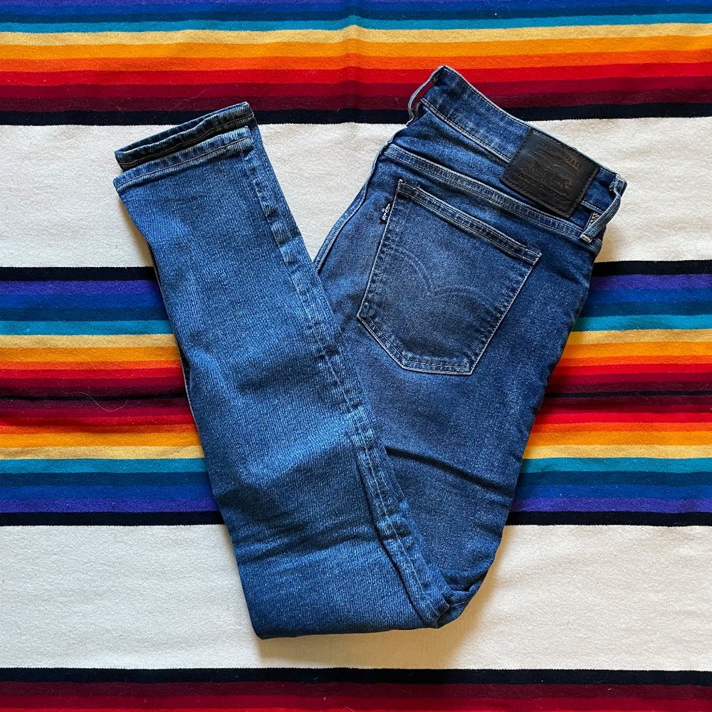 Levi's 721 High Rise Skinny Jean 31/30